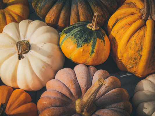 🍂 Camp Fire Fall Bucket List Challenge 🍁